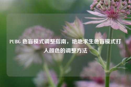 PUBG 色盲模式调整指南，绝地求生色盲模式打人颜色的调整方法