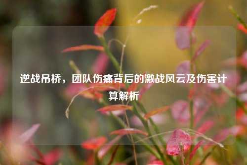 逆战吊桥,团队伤痛背后的激战风云及伤害计算解析