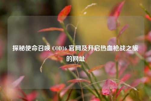 探秘使命召唤 COD16 官网及开启热血枪战之旅的网址