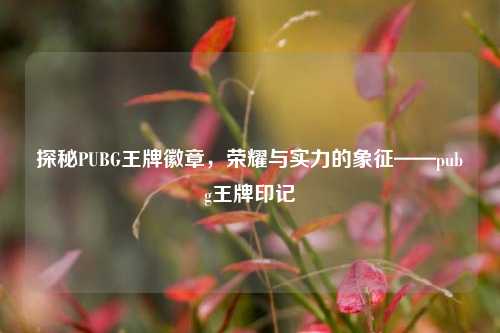 探秘PUBG王牌徽章，荣耀与实力的象征——pubg王牌印记