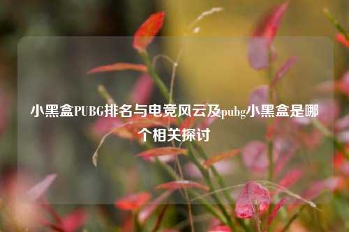 小黑盒PUBG排名与电竞风云及pubg小黑盒是哪个相关探讨