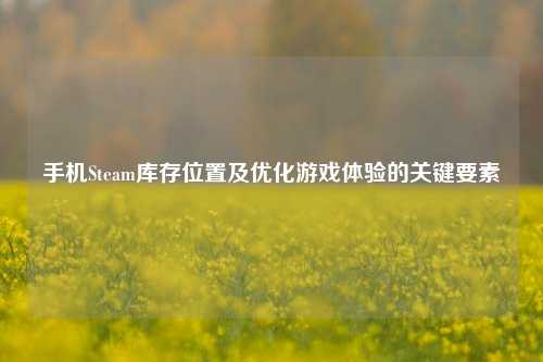 手机Steam库存位置及优化游戏体验的关键要素