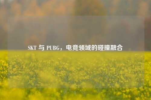 SKT 与 PUBG,电竞领域的碰撞融合
