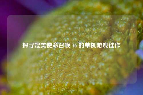 探寻媲美使命召唤 16 的单机游戏佳作