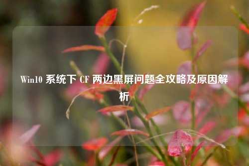 Win10 系统下 CF 两边黑屏问题全攻略及原因解析