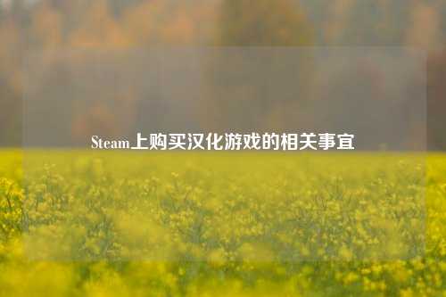 Steam上购买汉化游戏的相关事宜