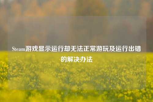 Steam游戏显示运行却无法正常游玩及运行出错的解决办法