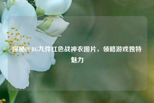 探秘PUBG九件红色战神衣图片，领略游戏独特魅力