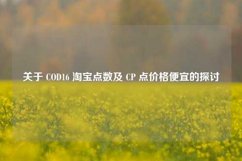 关于 COD16 淘宝点数及 CP 点价格便宜的探讨