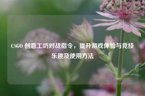 CSGO 创意工坊对战指令,提升游戏体验与竞技乐趣及使用方法