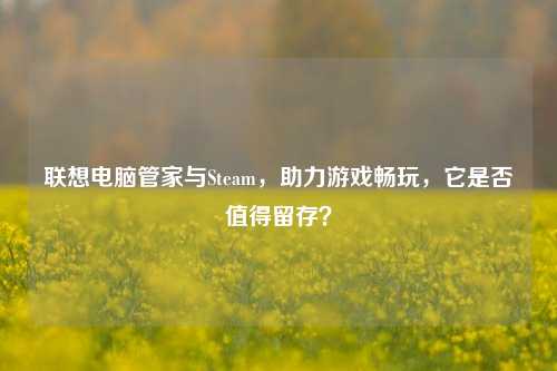联想电脑管家与Steam，助力游戏畅玩，它是否值得留存？