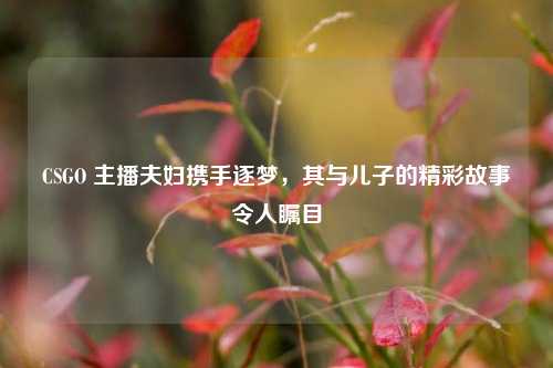 CSGO 主播夫妇携手逐梦，其与儿子的精彩故事令人瞩目