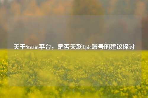 关于Steam平台,是否关联Epic账号的建议探讨