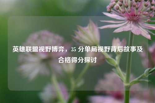 英雄联盟视野博弈，35 分单局视野背后故事及合格得分探讨