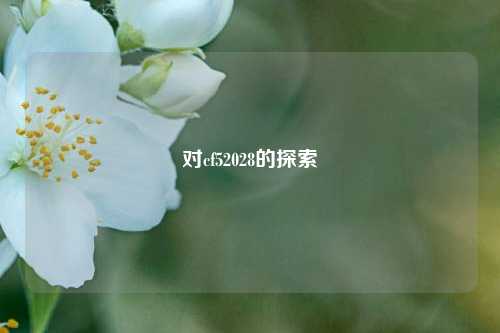 对cf52028的探索