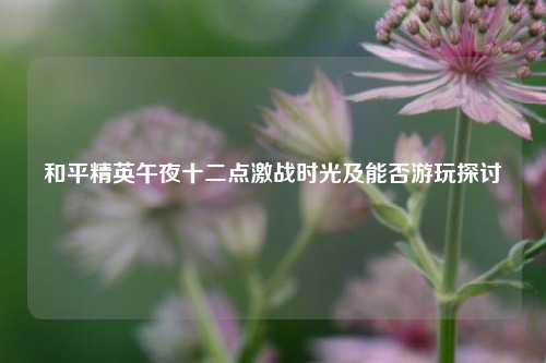 和平精英午夜十二点激战时光及能否游玩探讨