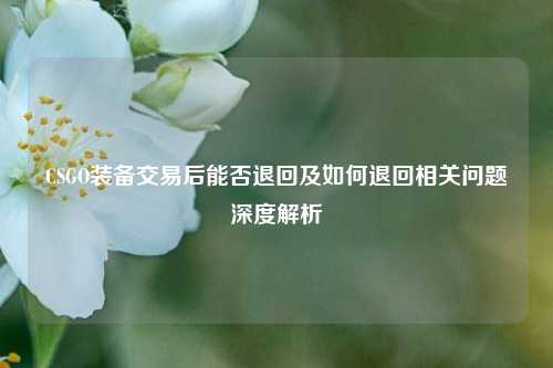 CSGO装备交易后能否退回及如何退回相关问题深度解析