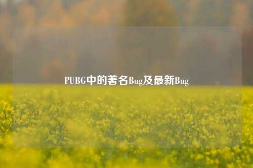 PUBG中的著名Bug及最新Bug