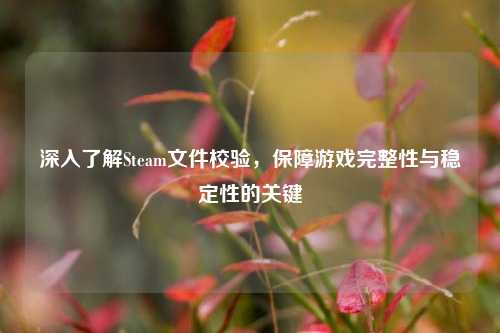深入了解Steam文件校验，保障游戏完整性与稳定性的关键