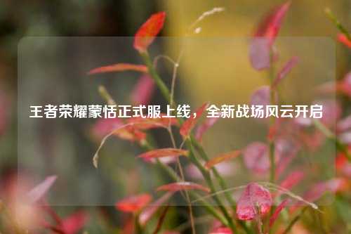 王者荣耀蒙恬正式服上线,全新战场风云开启