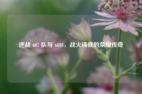 逆战 607 队与 6888,战火铸就的荣耀传奇