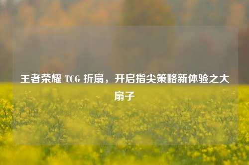 王者荣耀 TCG 折扇，开启指尖策略新体验之大扇子