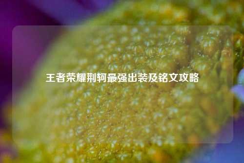 王者荣耀荆轲最强出装及铭文攻略