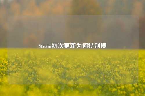 Steam初次更新为何特别慢