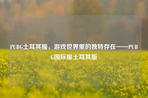 PUBG土耳其服，游戏世界里的独特存在——PUBG国际服土耳其版
