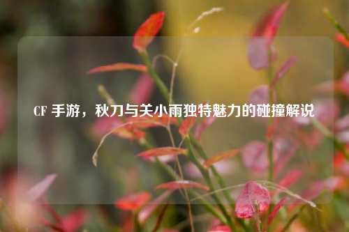 CF 手游,秋刀与关小雨独特魅力的碰撞解说