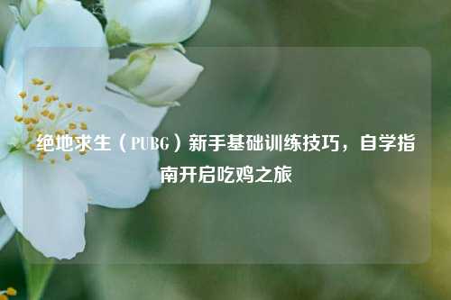 绝地求生（PUBG）新手基础训练技巧，自学指南开启吃鸡之旅