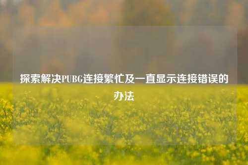 探索解决PUBG连接繁忙及一直显示连接错误的办法