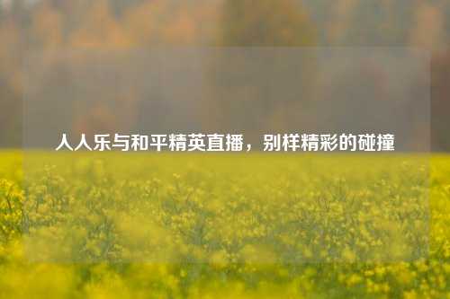 人人乐与和平精英直播,别样精彩的碰撞