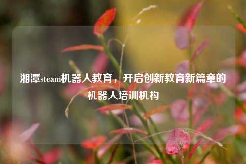 湘潭steam机器人教育,开启创新教育新篇章的机器人培训机构