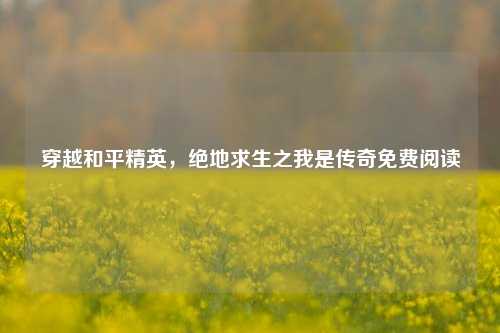 穿越和平精英,绝地求生之我是传奇免费阅读