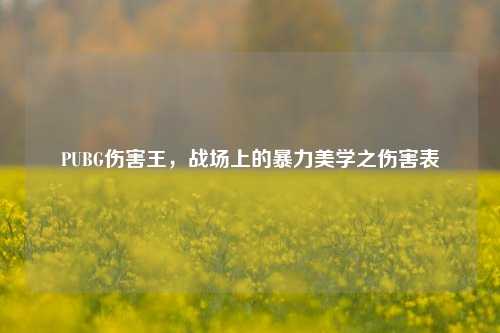 PUBG伤害王，战场上的暴力美学之伤害表