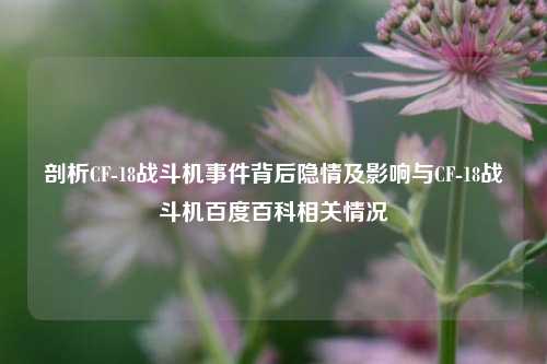 剖析CF-18战斗机事件背后隐情及影响与CF-18战斗机百度百科相关情况