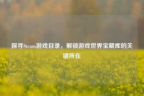 探寻Steam游戏目录,解锁游戏世界宝藏库的关键所在