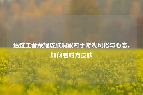 透过王者荣耀皮肤洞察对手游戏风格与心态,如何看对方皮肤
