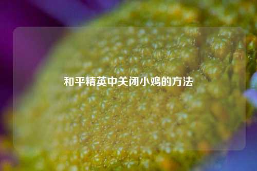和平精英中关闭小鸡的方法