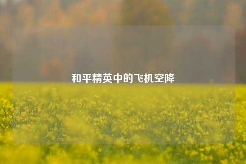 和平精英中的飞机空降