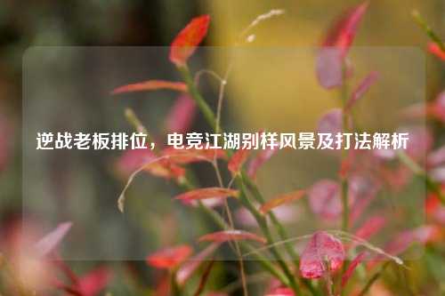 逆战老板排位,电竞江湖别样风景及打法解析