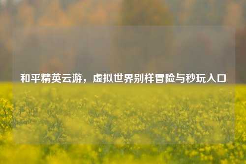 和平精英云游,虚拟世界别样冒险与秒玩入口