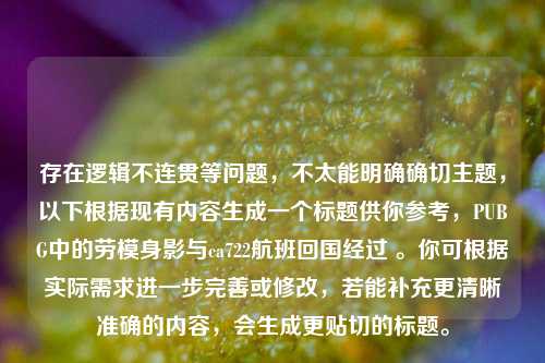 存在逻辑不连贯等问题,不太能明确确切主题,以下根据现有内容生成一个标题供你参考,PUBG中的劳模身影与ca722航班回国经过 。你可根据实际需求进一步完善或修改,若能补充更清晰准确的内容,会生成更贴切的标题。