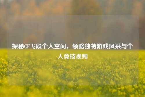 探秘CF飞段个人空间,领略独特游戏风采与个人竞技视频