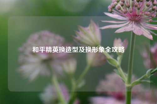 和平精英换造型及换形象全攻略