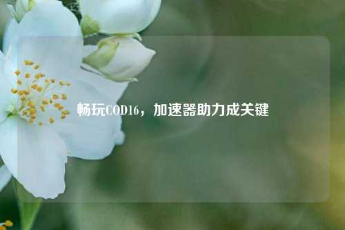 畅玩COD16,加速器助力成关键