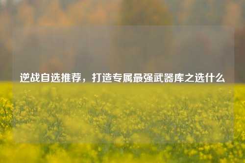 逆战自选推荐,打造专属最强武器库之选什么