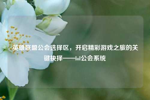 英雄联盟公会选择区，开启精彩游戏之旅的关键抉择——lol公会系统