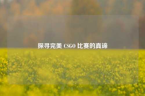 探寻完美 CSGO 比赛的真谛